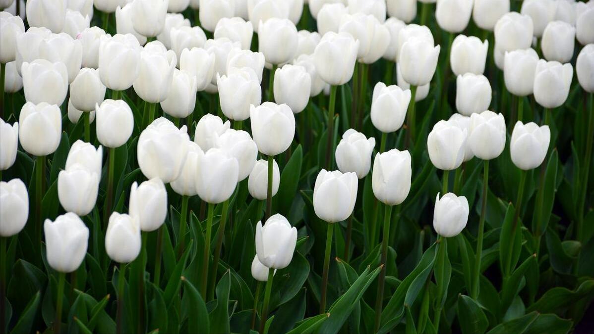 怕什么来什么终究还是没逃过,怕什么来什么最终还是逃不过