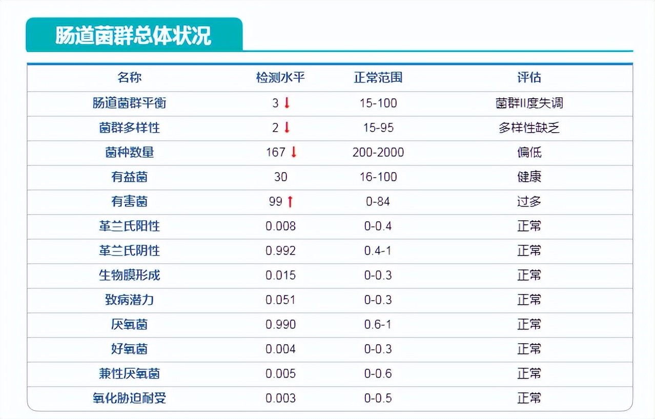 猫肠道菌群活性显微镜,猫肠道菌群类型图