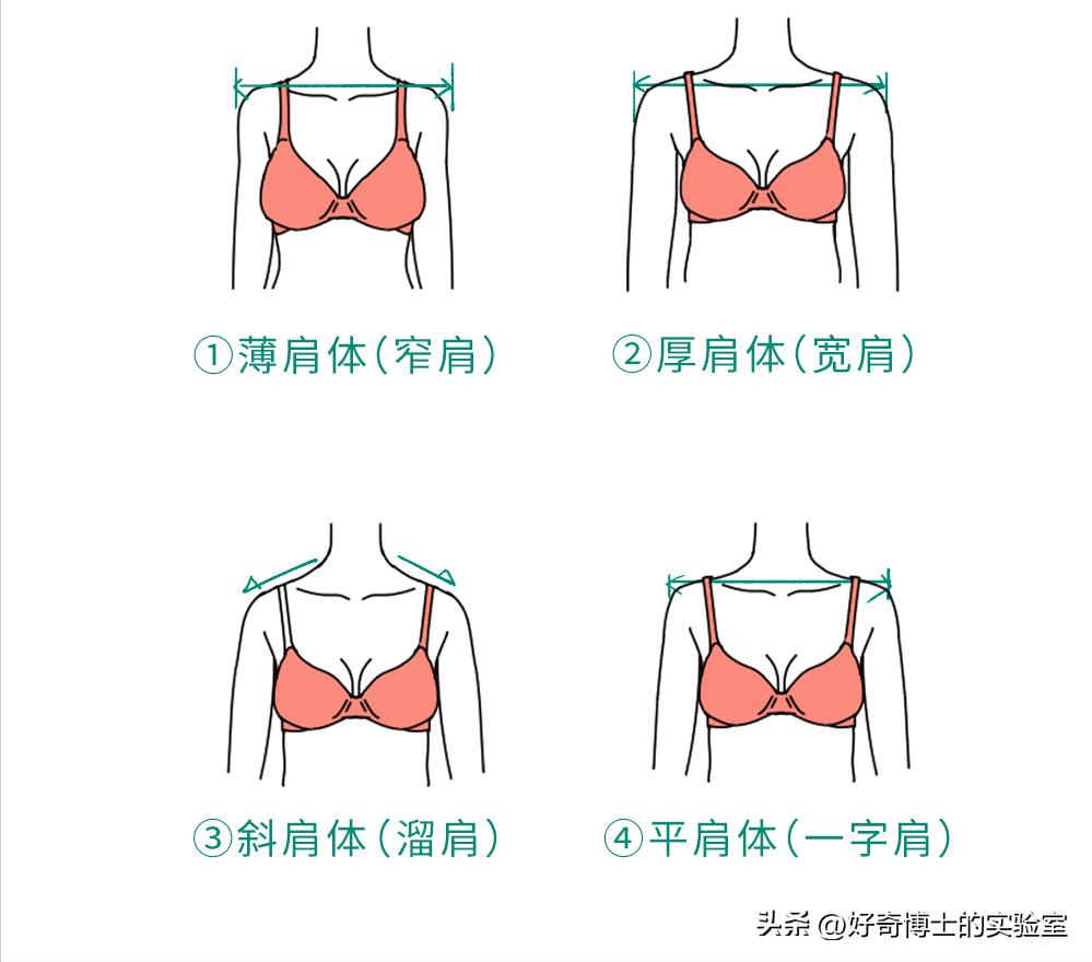 内衣肩带老滑肩,胖女士内衣肩带容易掉