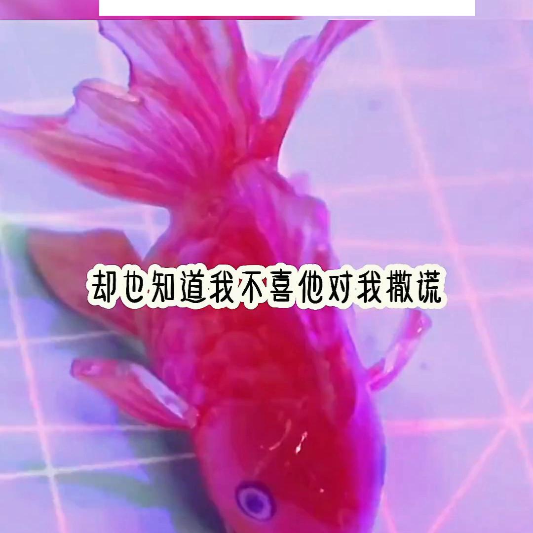 📖《诗画孪生双姝》👈#每日推文小说