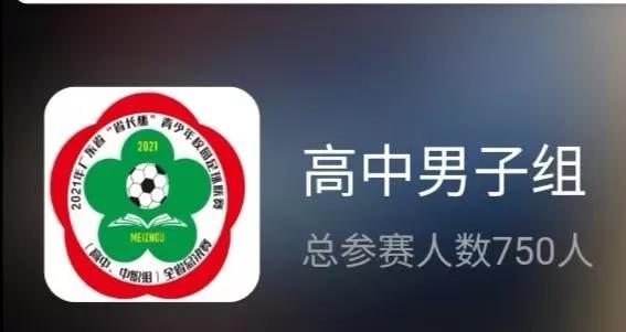 广东省省长杯足球赛历届成绩,广东省省长杯八强