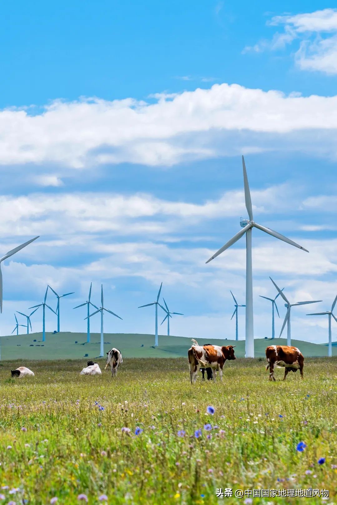 内蒙古东西差异有多大,你以为的内蒙古和现实中的内蒙古