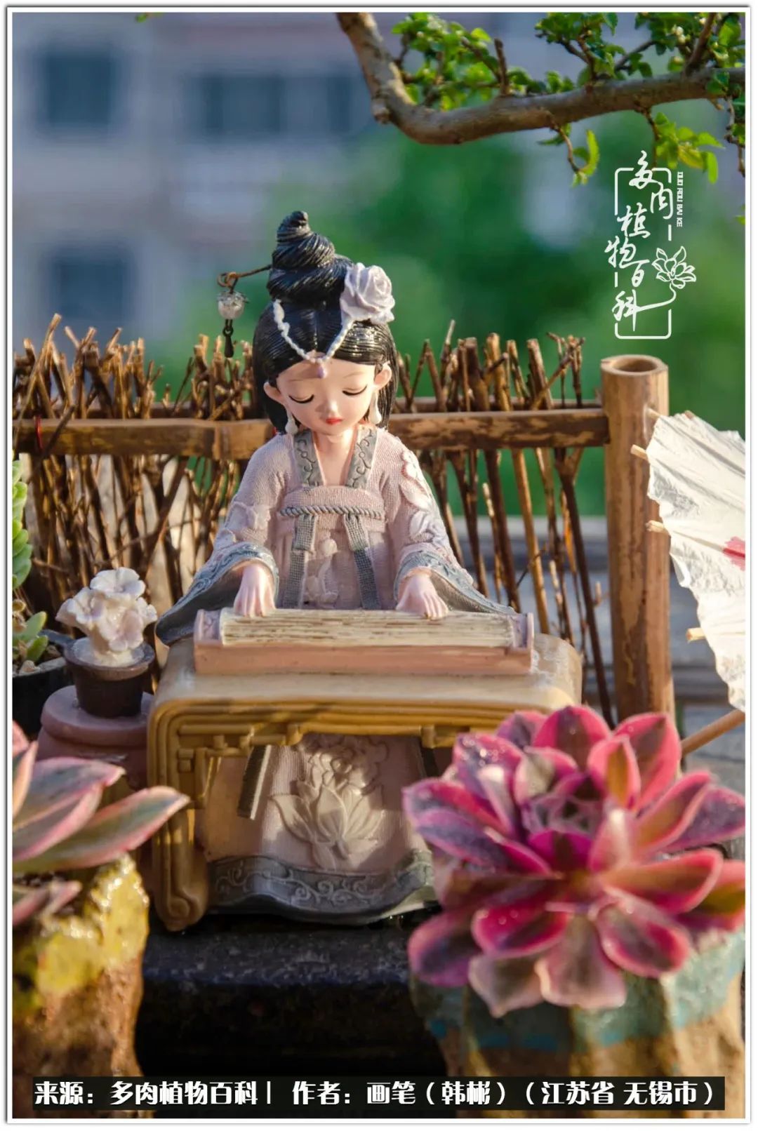 月满西楼别有一番滋味在心头,绿肥红瘦