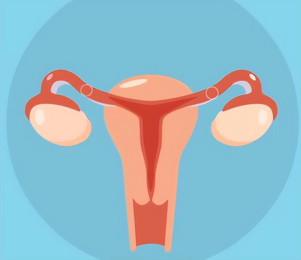 妇科不好能吃柿子吗,吃柿子对妇科有影响吗