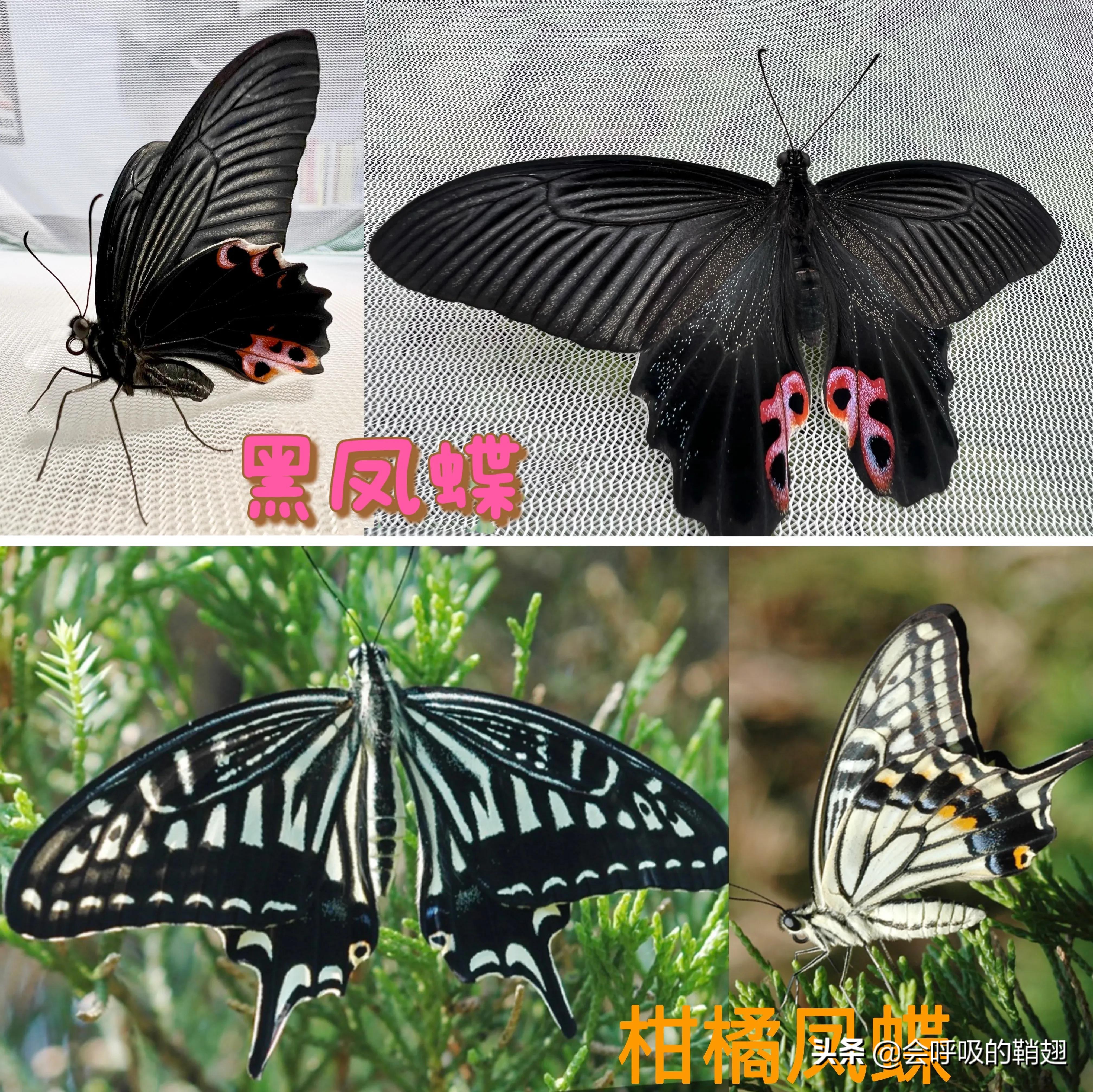 5个月的等待,经过5个多月的漫长等待