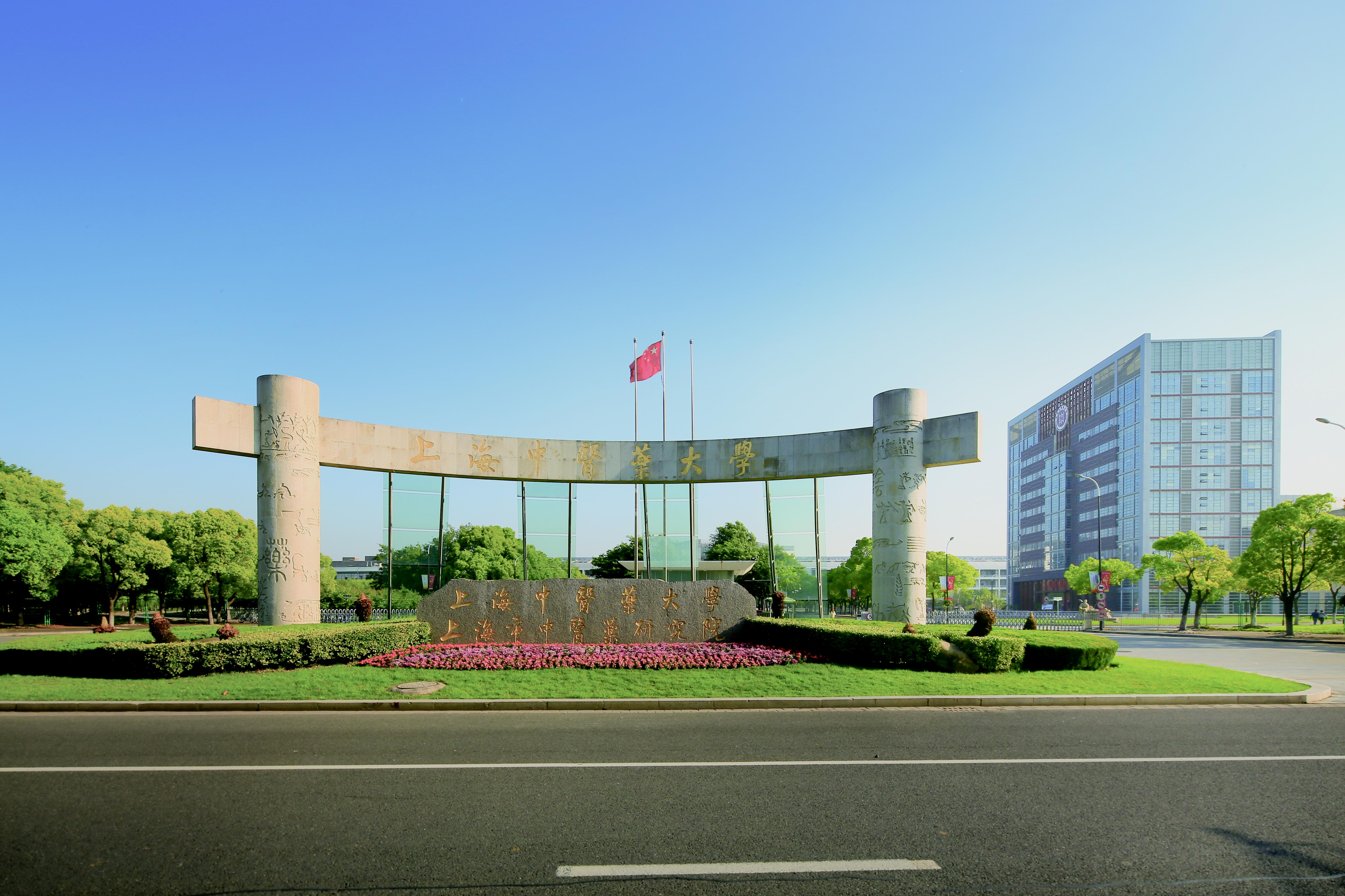 传承中医学对弘扬中华文化的意义,没有家族传承学中医专业有前途吗