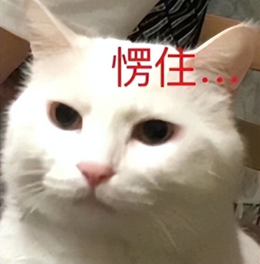 春节微信红包群抢红包,过年红包群里怎样抢得又快又多