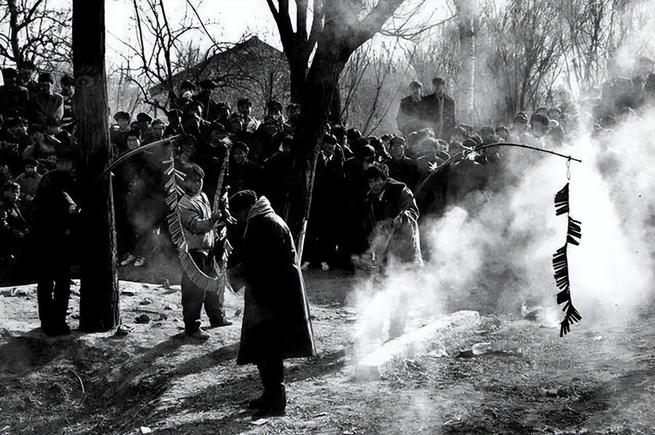 专家的“好建议”，让“何不食肉糜”这句千古名言始终充满生命力