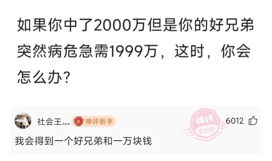 神回复为什么,神回复下一句怎么答