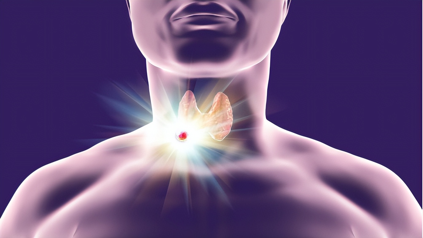 一饿就心慌手抖怎么办,突然饿的就心慌手抖是什么原因