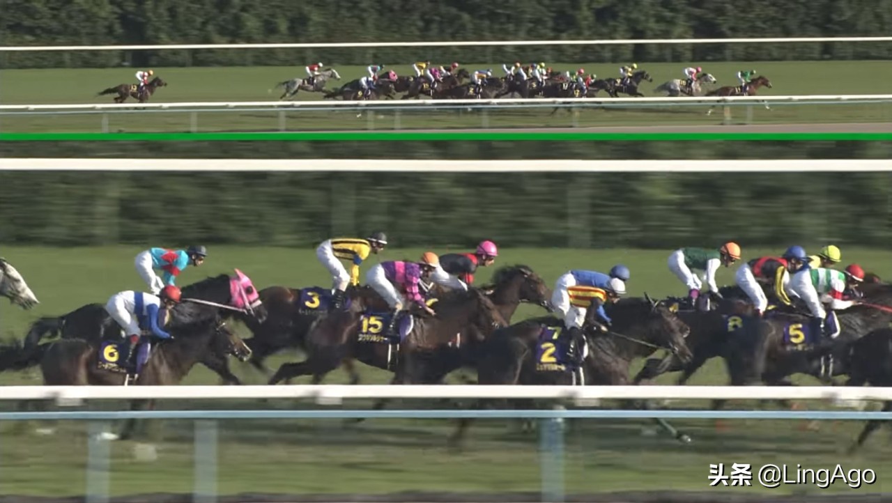 赛马娘prettyderby官方版游戏攻略,赛马娘prettyderby日服