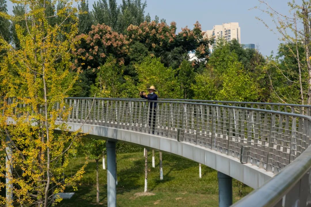 成都有哪些公园值得一去,成都必去的公园排行榜最新名单