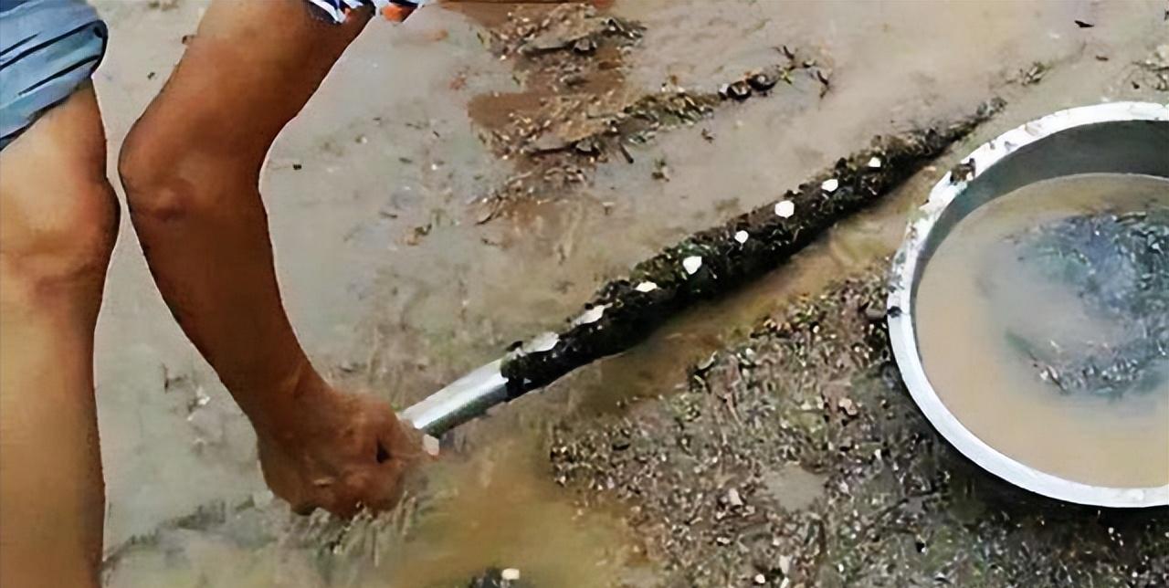 撸铁棒有什么危害,在黄河边撸铁棒有哪些危害