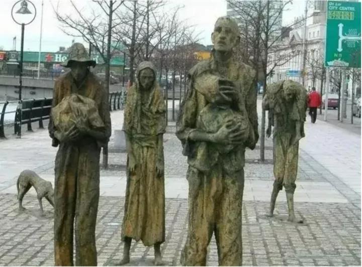 植物免疫系统的“御敌”机制