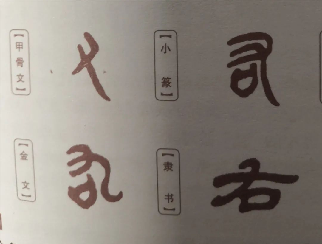 解字解读,解字的术语大全
