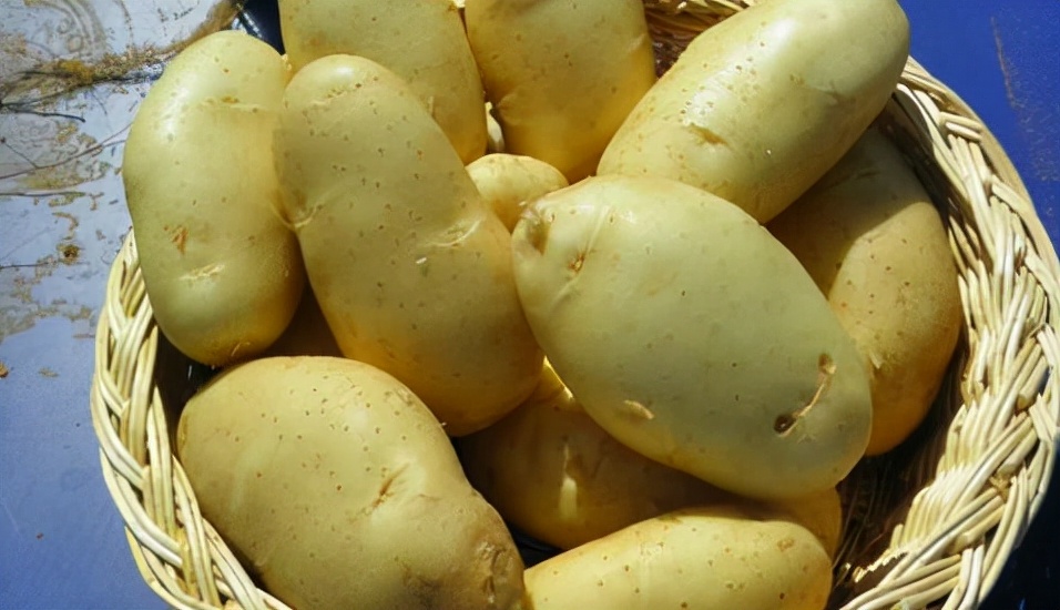 莱森为您介绍高光谱成像技术在农产品检测中的应用-莱森光学