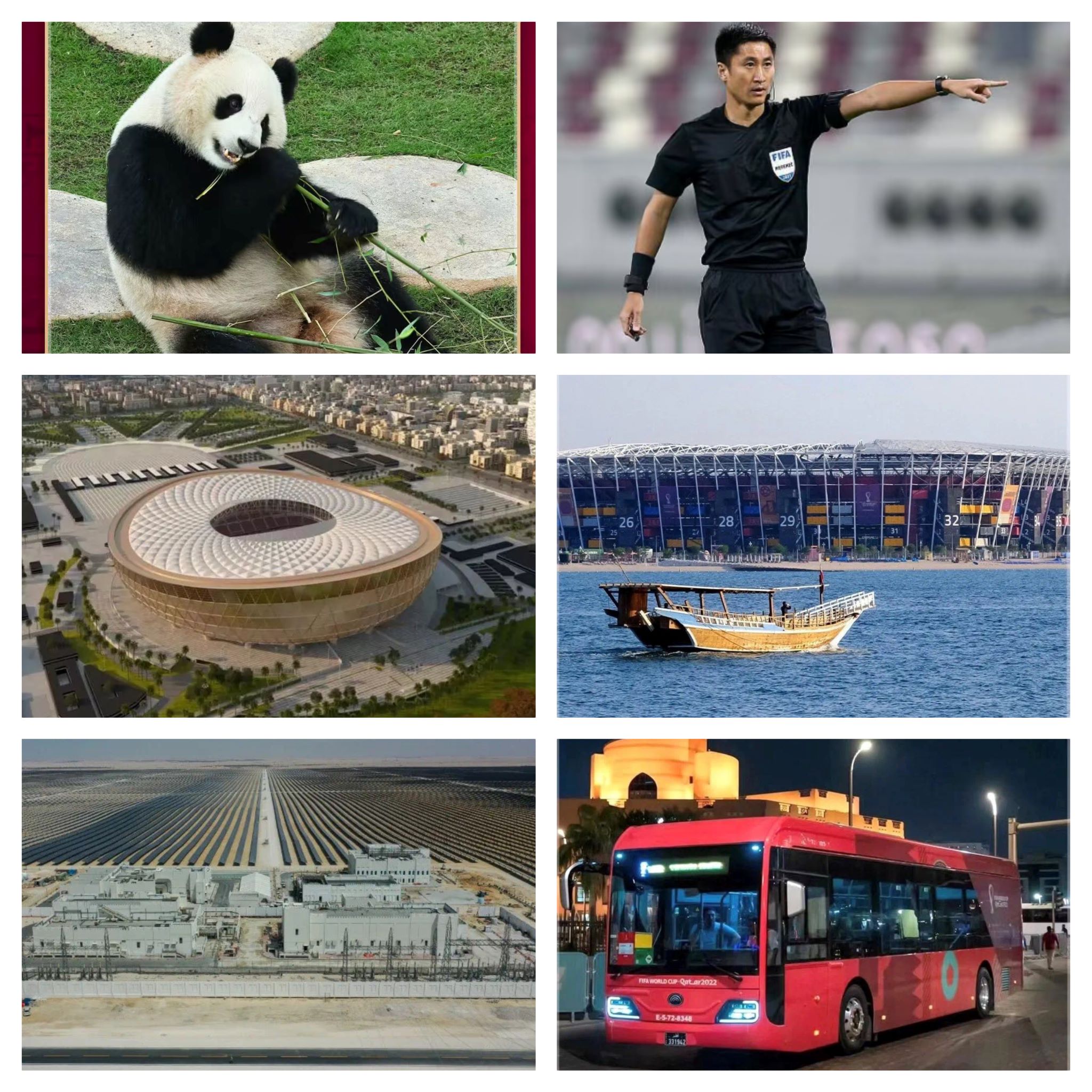 郑州高新区外国语小学足球比赛,郑州高新区外国语小学文化节直播