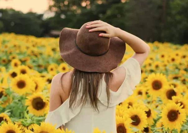 拼多多在美国最新行情 (拼多多出海)