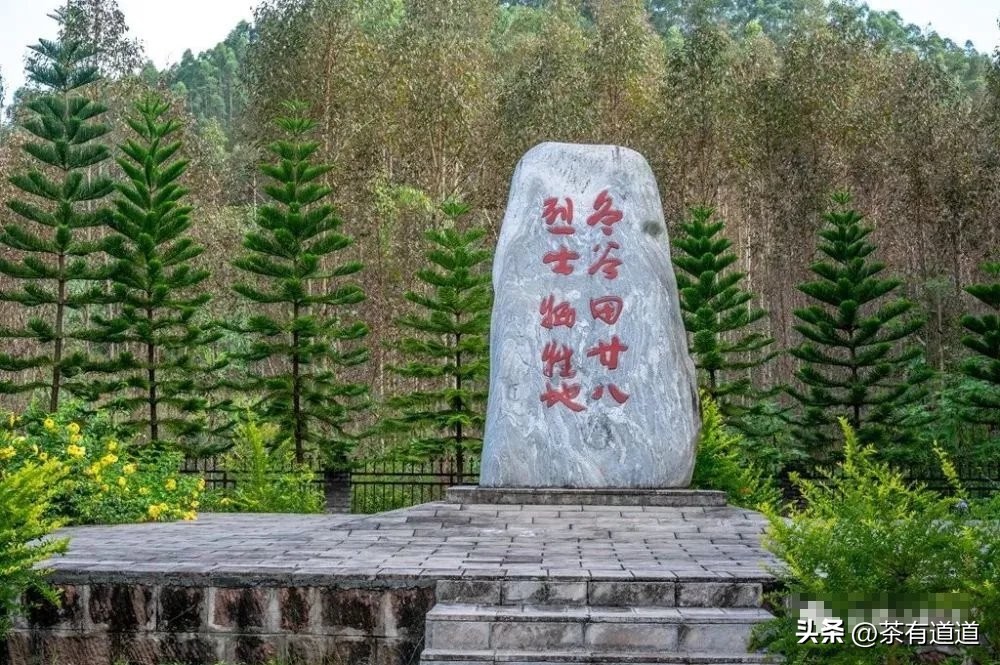 茶马古道寻茶香,茶马古道寻觅云雾