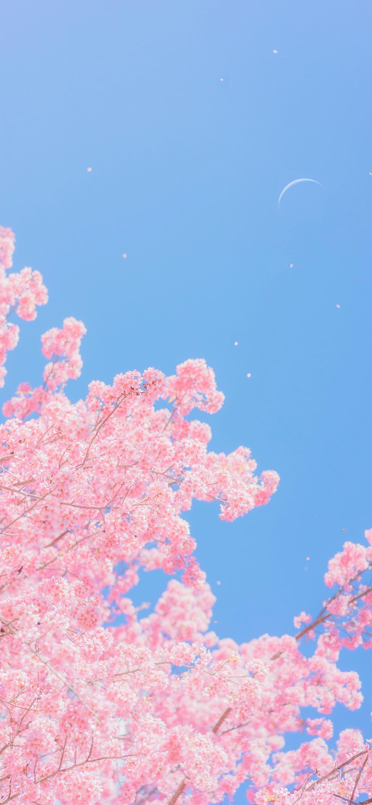 分享一些爆好看的手机壁纸,精挑细选90张最适合你的手机壁纸