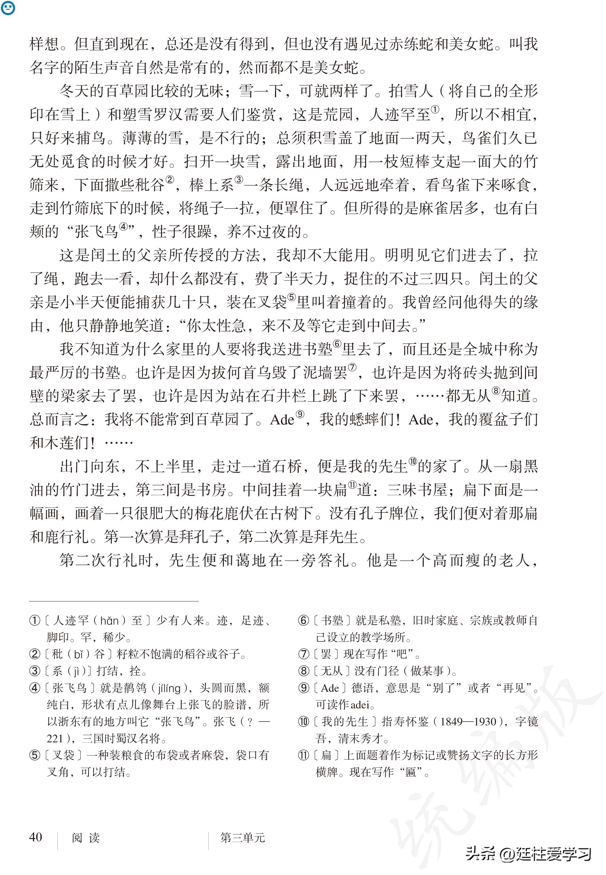 语文七年级上册电子版,语文七年级上册电子版课时练