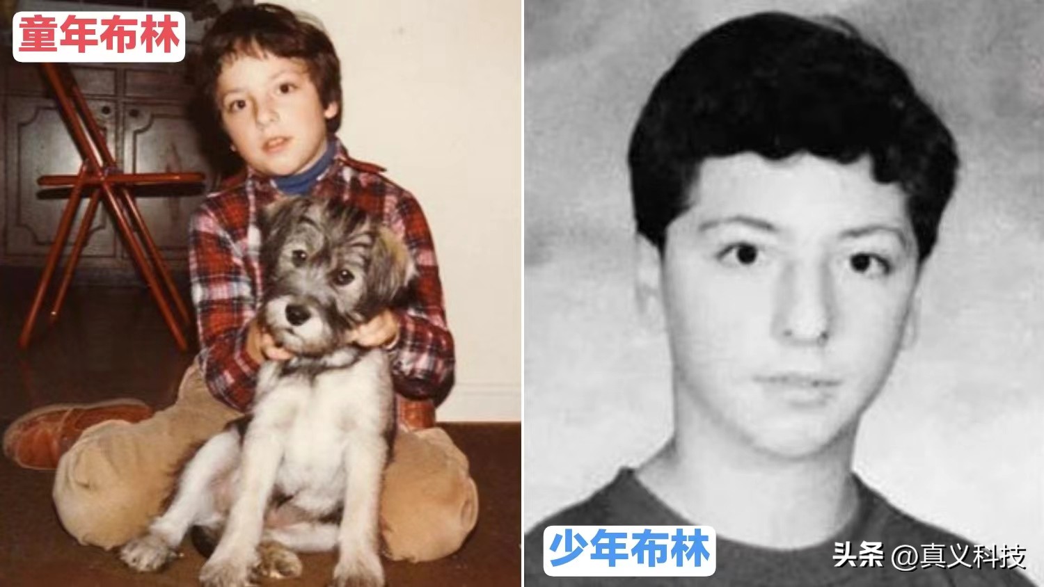 google发展历程简介,谷歌简史