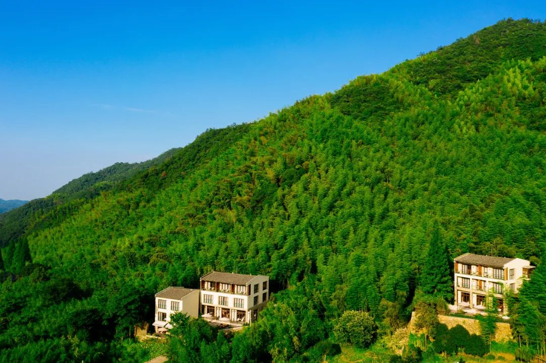 适合冬天去的民宿莫干山民宿,莫干山民宿天花板体验之旅
