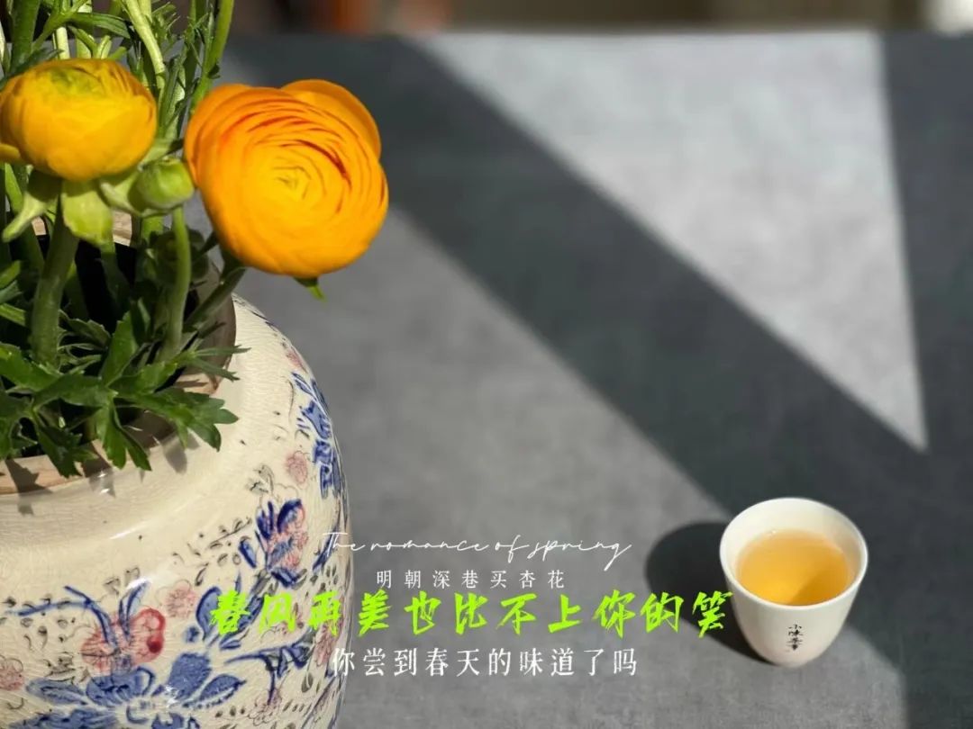 现在喝白茶的价目表,新手入门级白茶推荐