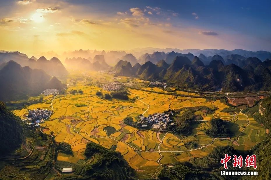 2020热搜视频排行榜,最近热搜视频记录