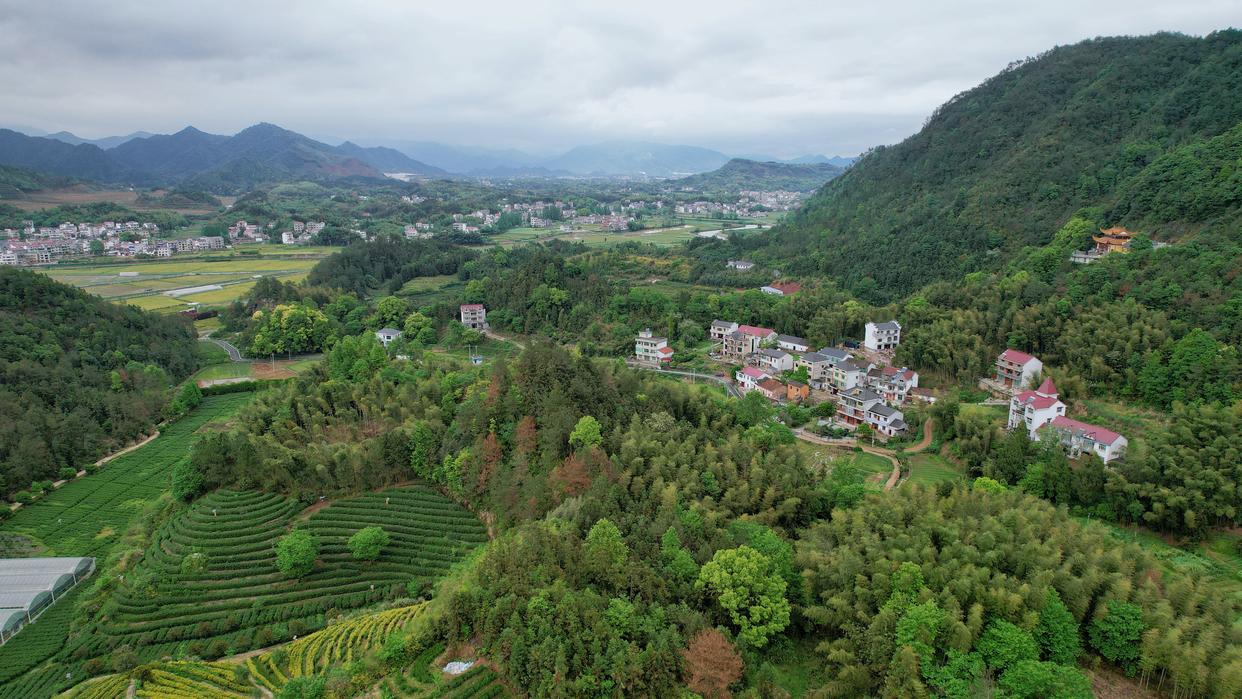 建德刀笃菜,倒笃菜是建德非遗吗