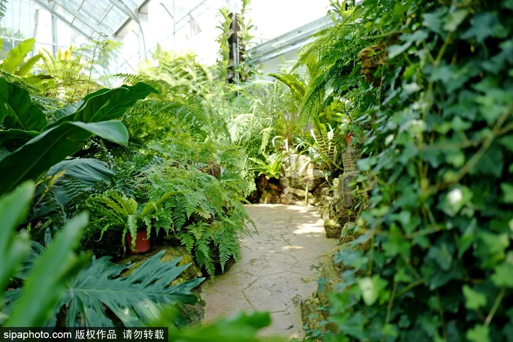 春天北京看花的景点推荐,北京冬天看花的景点推荐