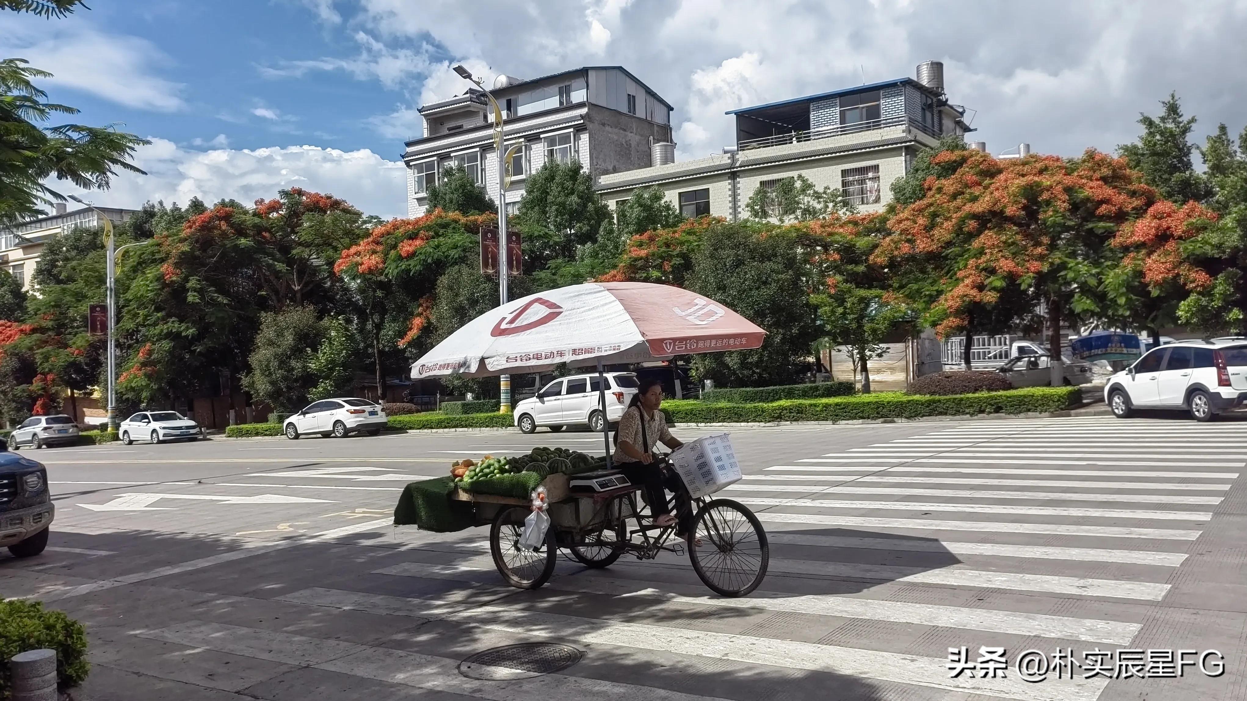 在城市里赚钱的小生意,在城市打工做小生意