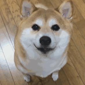 中国人下南洋如何白手起家,白手起家的人特征