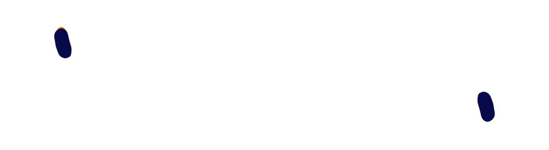 写一篇文言文知识归纳梳理,一篇文章学习文言文句型汇总