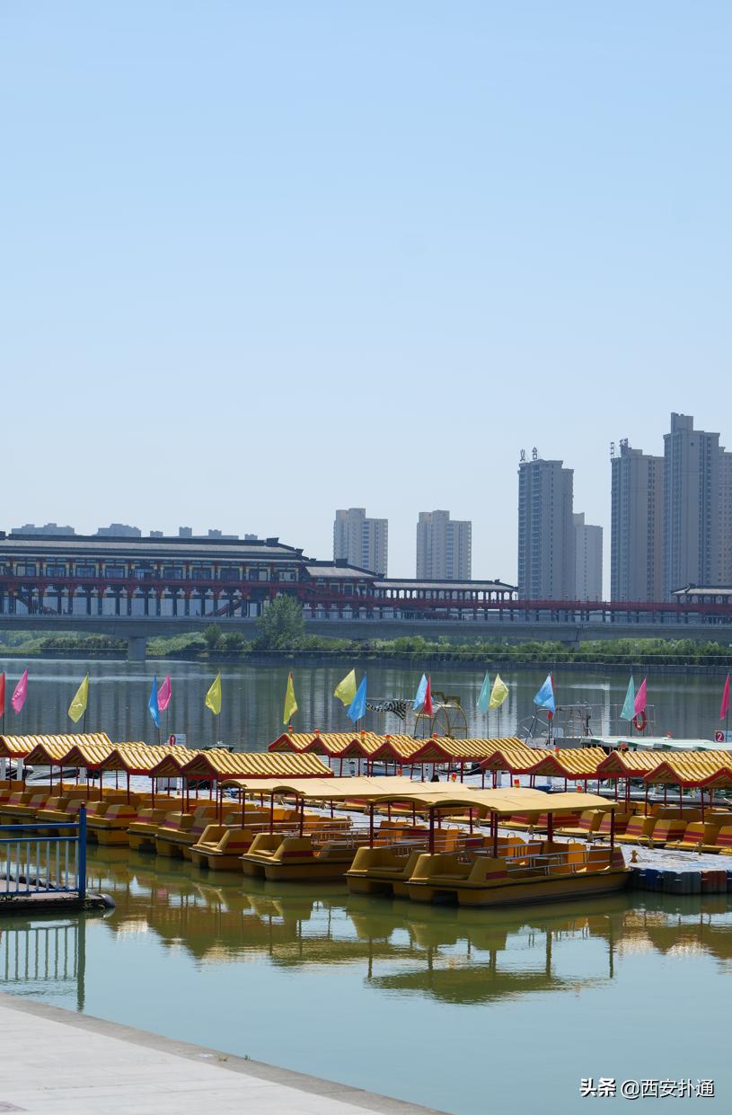 西安最大花海公园,西安周边的自然景观公园