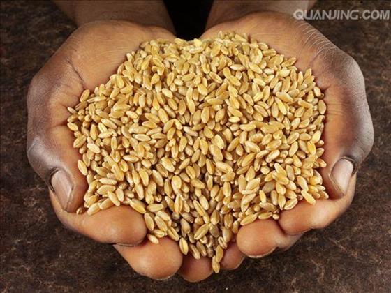 秦风,秦岭远古时代是海洋吗