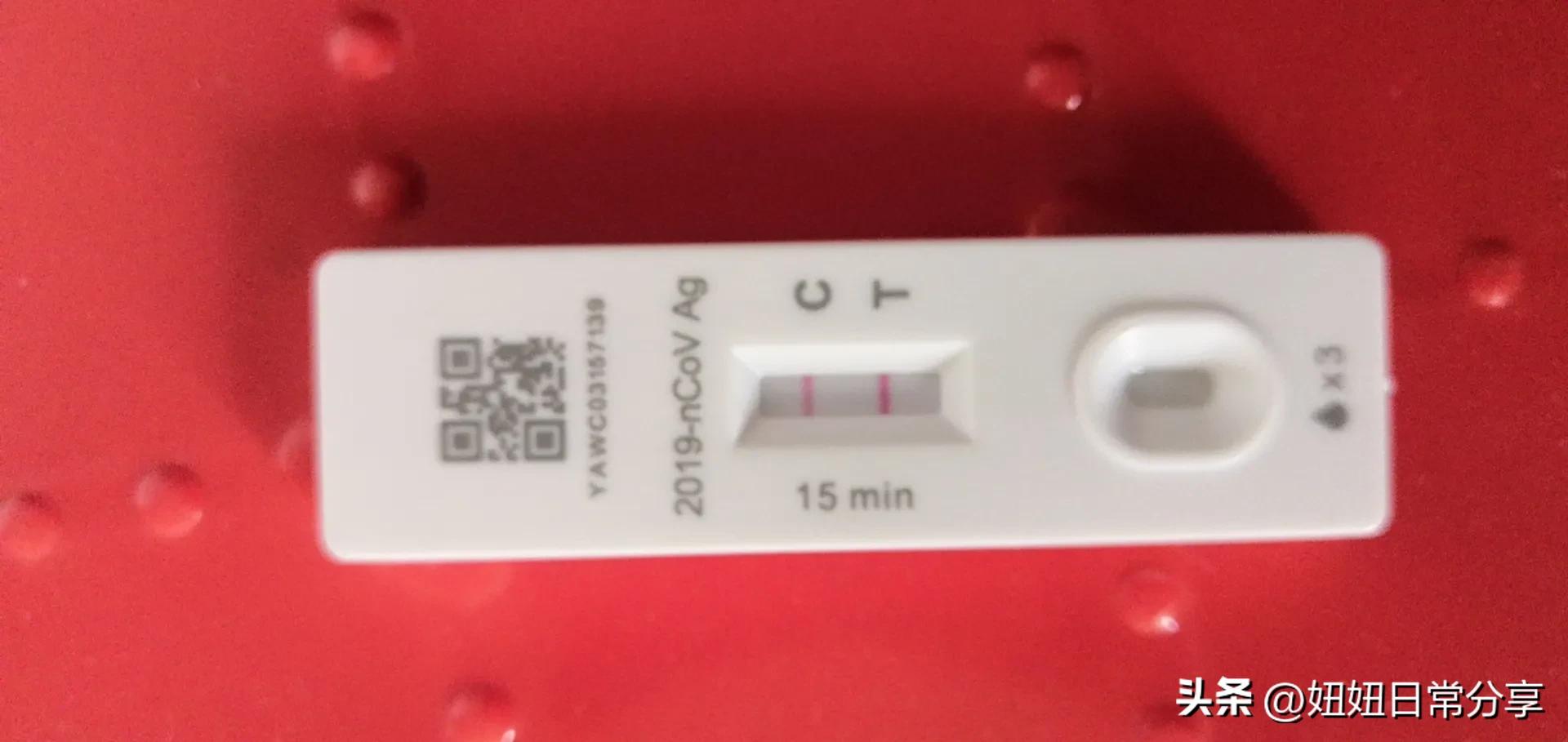 我的抗痘经历及感受,我的抗阳经历作文450字