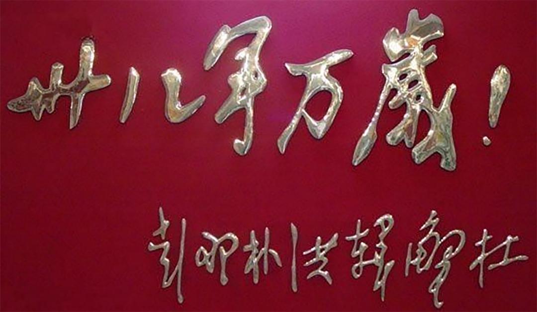 向参加抗美援朝最可爱的英烈致敬,缅怀抗美援朝先烈铭记历史视频