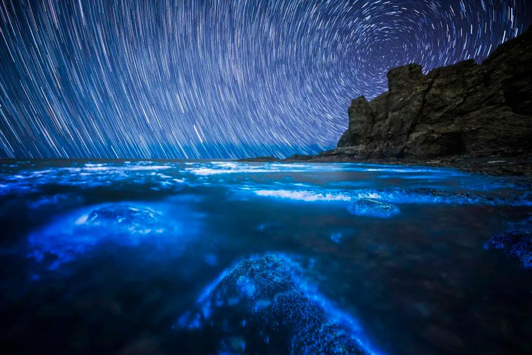 天津东疆港蓝眼泪出现时间,游玩天津东疆港攻略