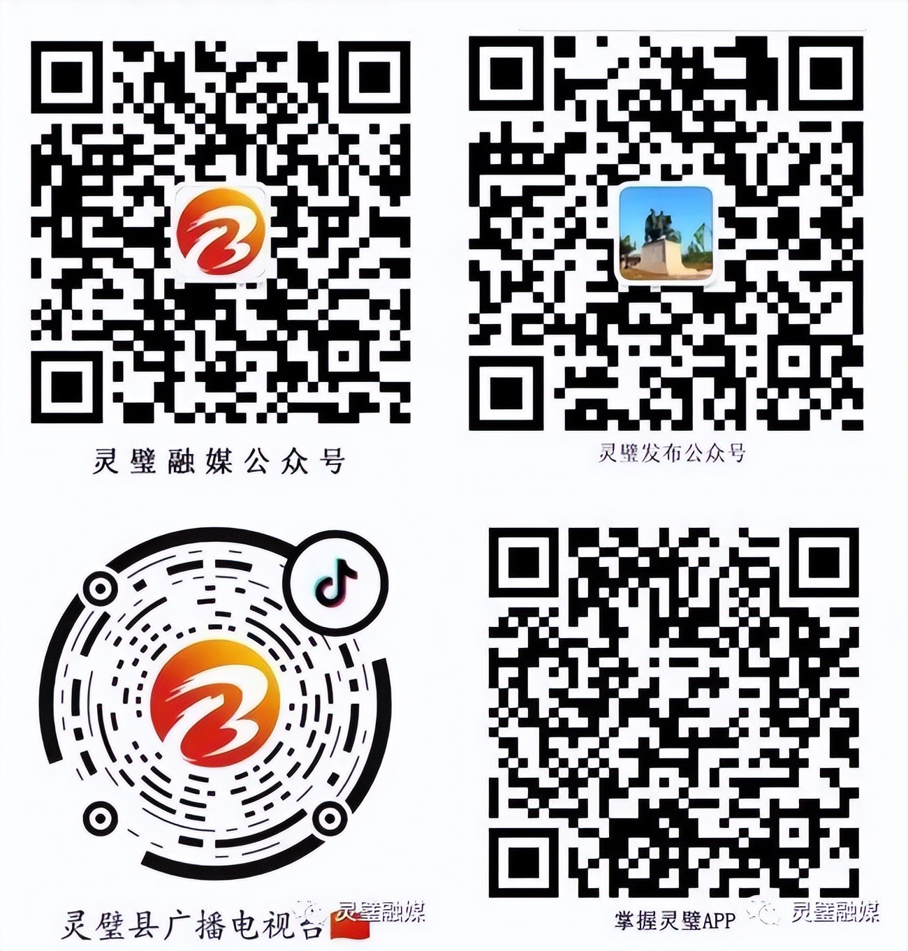 灵璧青年丁云：乡村振兴路上“兔”飞猛进