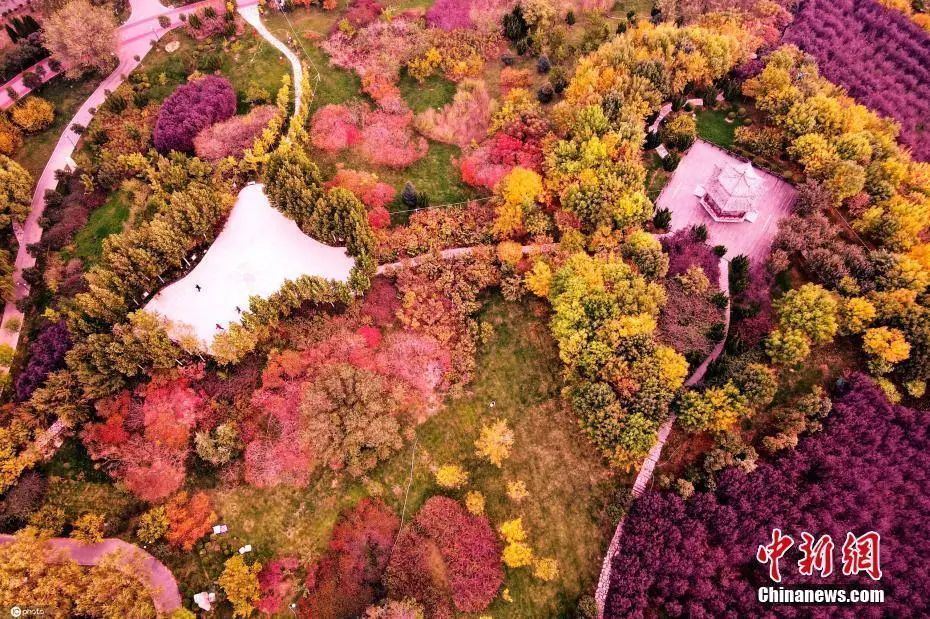 安庆市国家历史文化名城名单,西安历史文化名城保护规划