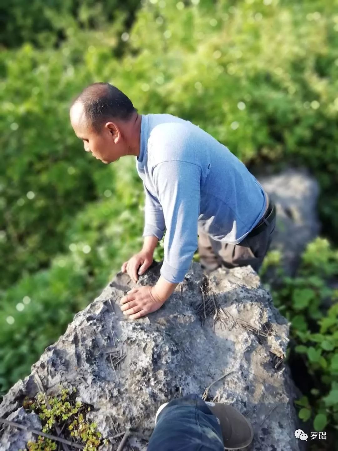 鐭虫湪灞卞,鐭虫湪瀵ㄥソ椋庡厜