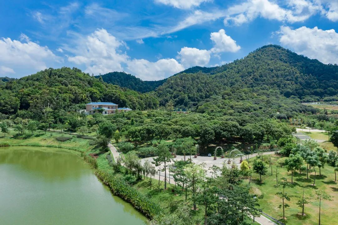 深圳旅游全攻略宝安,宝安旅游线路推荐