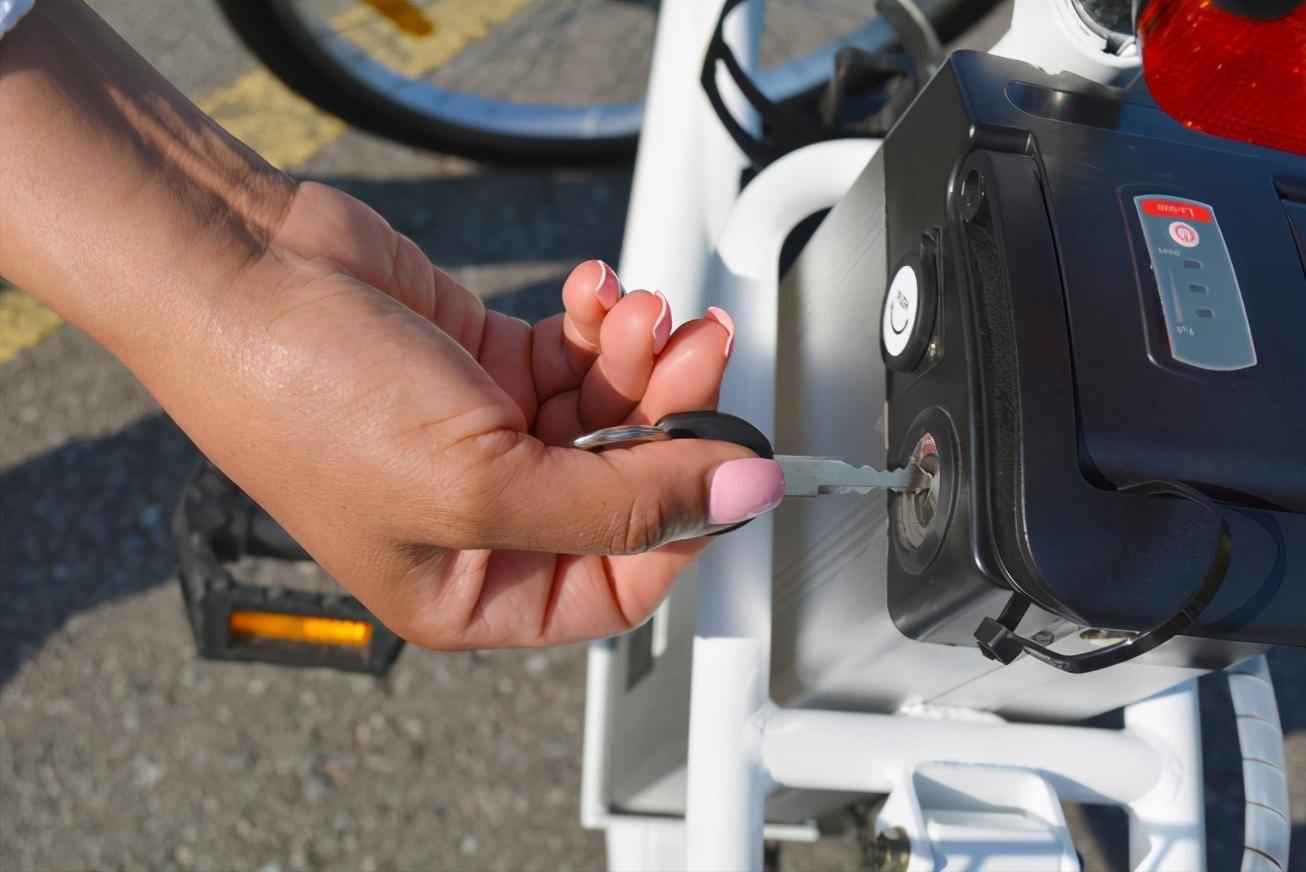 大牌电动车品牌,大牌电动车