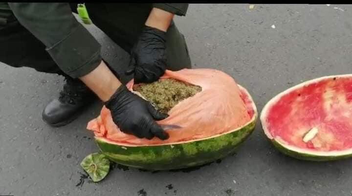 12种奇葩行为,十种奇葩的行为