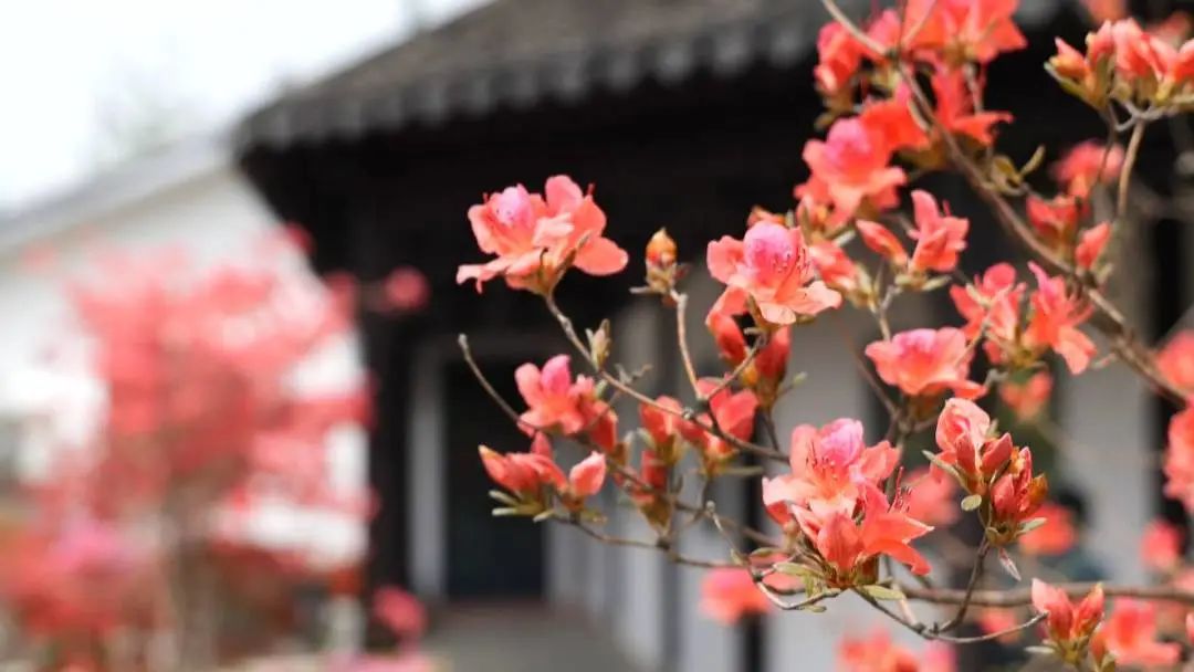 五一的常州,常州的五一