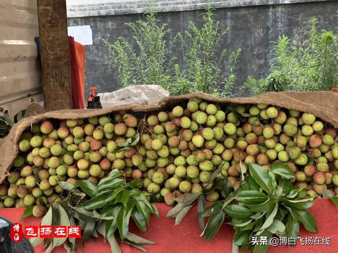 博白街“土豪”应季水果光环不在，全款拿下食到厌
