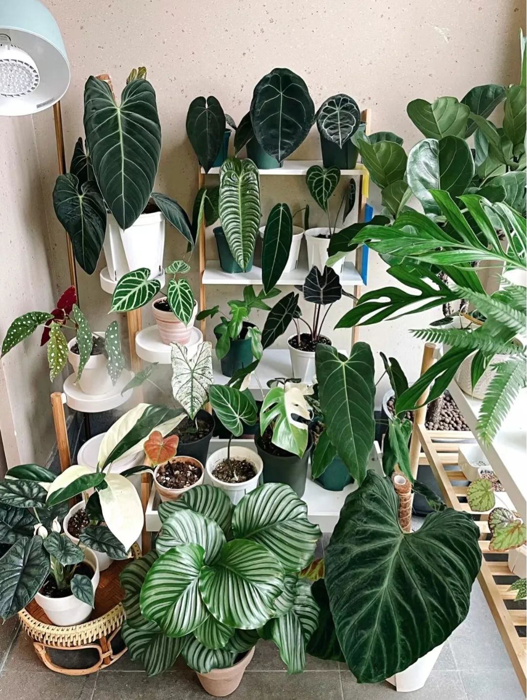 娴鍒瑁呬慨椋庢牸,娴瀹ゅ唴瑁呬慨