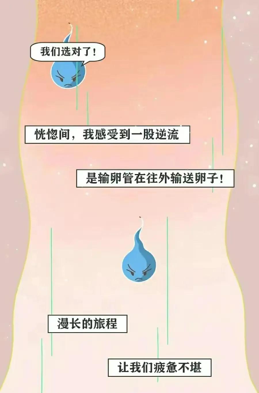 精子进入女生体内的全过程，真是一路坎坷又艰难