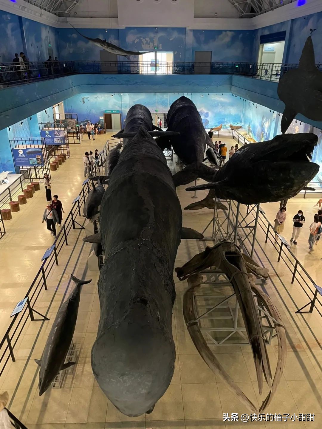 均温22℃，北方这座海滨避暑第一城，去一次相当于环游世界